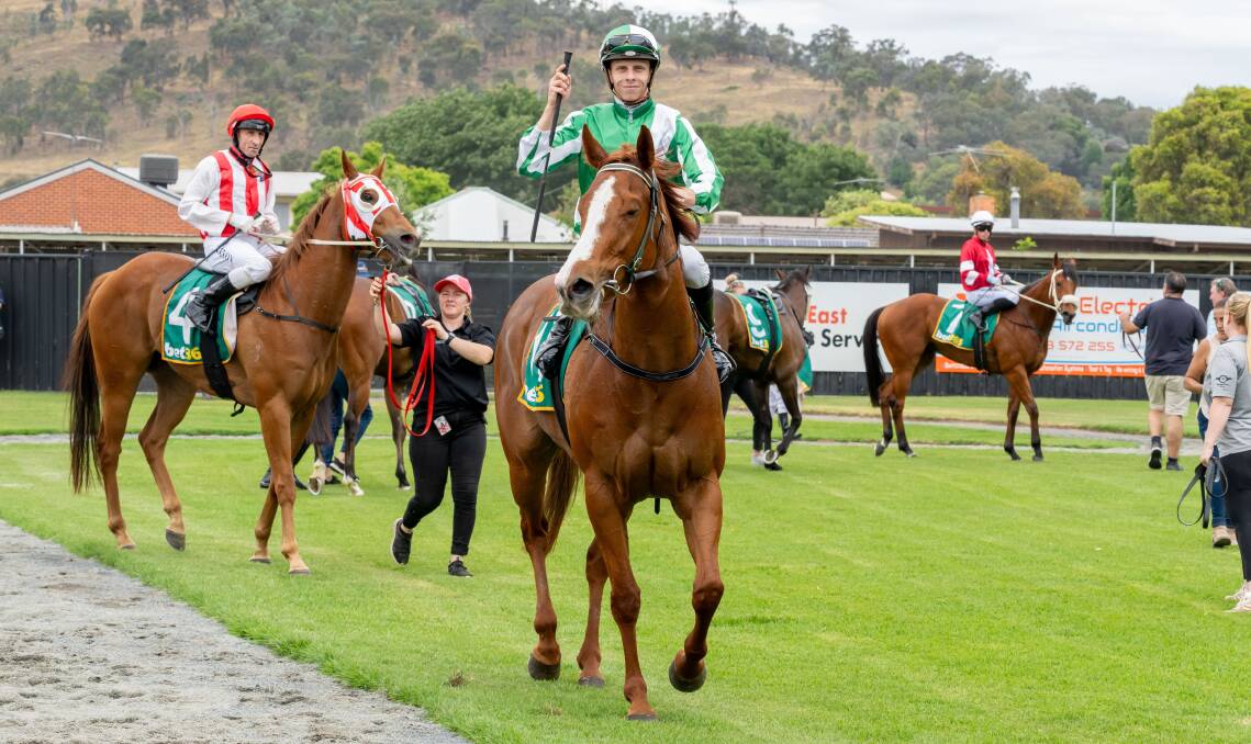 Triple delight for O'Prey after Jordy Girl, Miss Athena and Zoulon salute