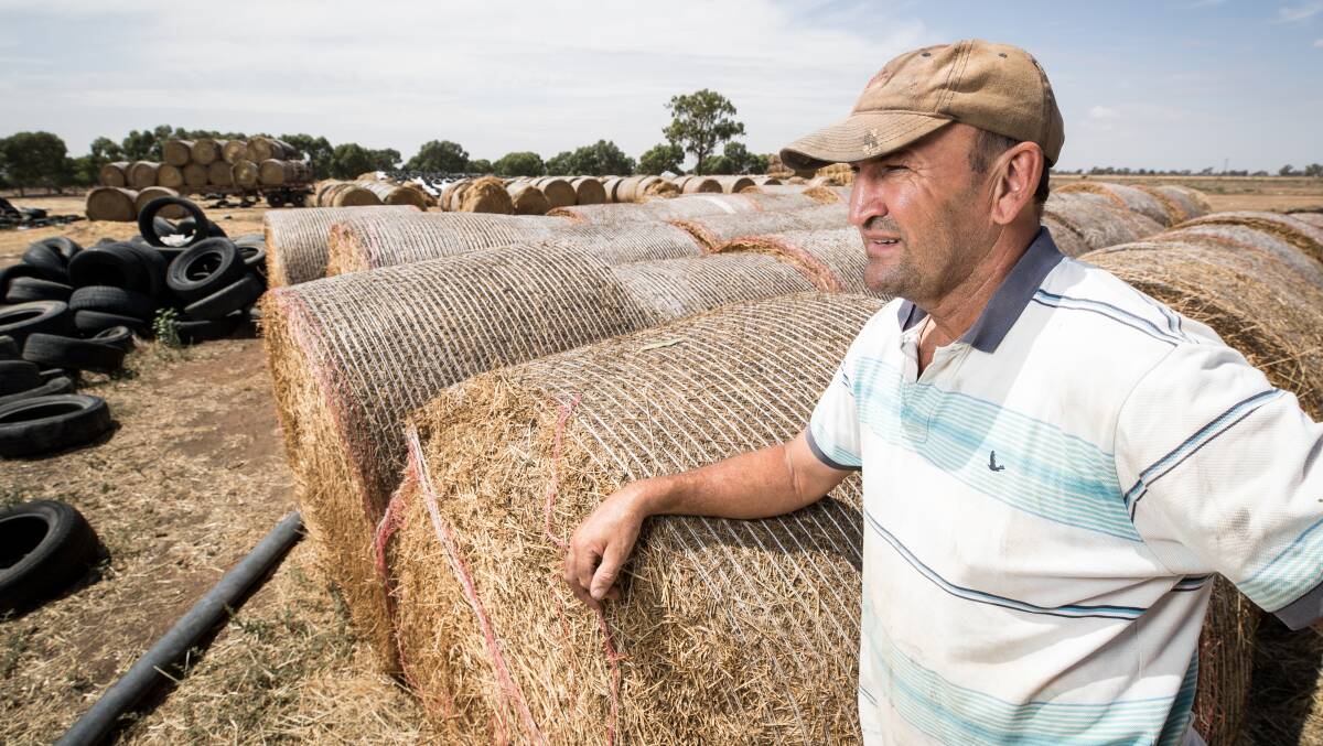 HAY BALES: Hay has been another important food source for Mr Middlebrook's dairy cattle.