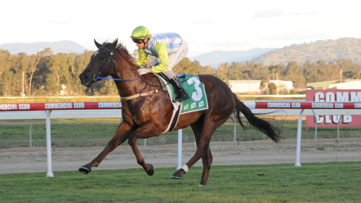 STROLL IN THE PARK: Front Page won by 9.5-lengths when resuming at Albury last month.