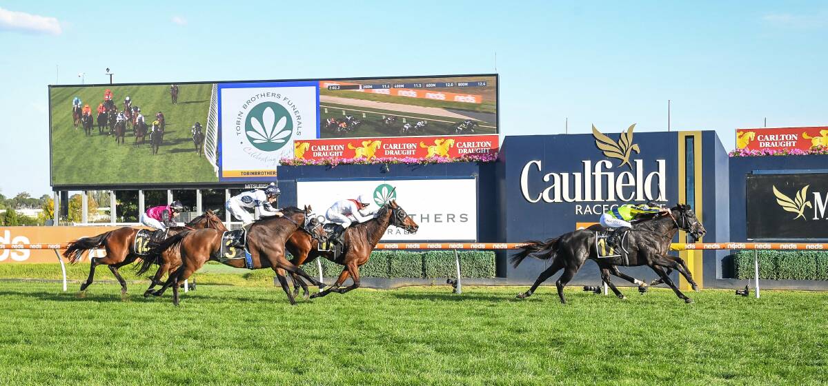 CUP HOPE: The Mark Newnham-trained Spirit Ridge finished fourth at Caulfield at his most recent start. Picture: RACING PHOTOS
