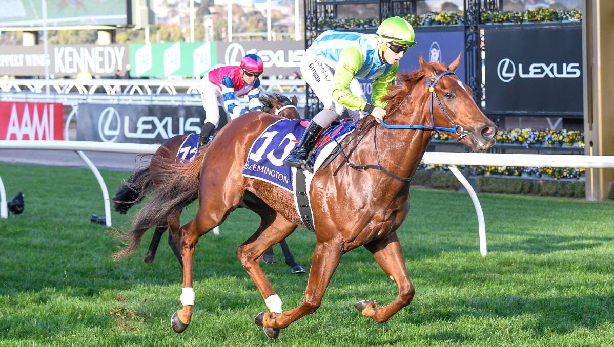 CLASSY: Front Page has the credentials to end trainer Geoff Duryea's hoodoo in the Wagga Town Plate. Picture: RACING PHOTOS