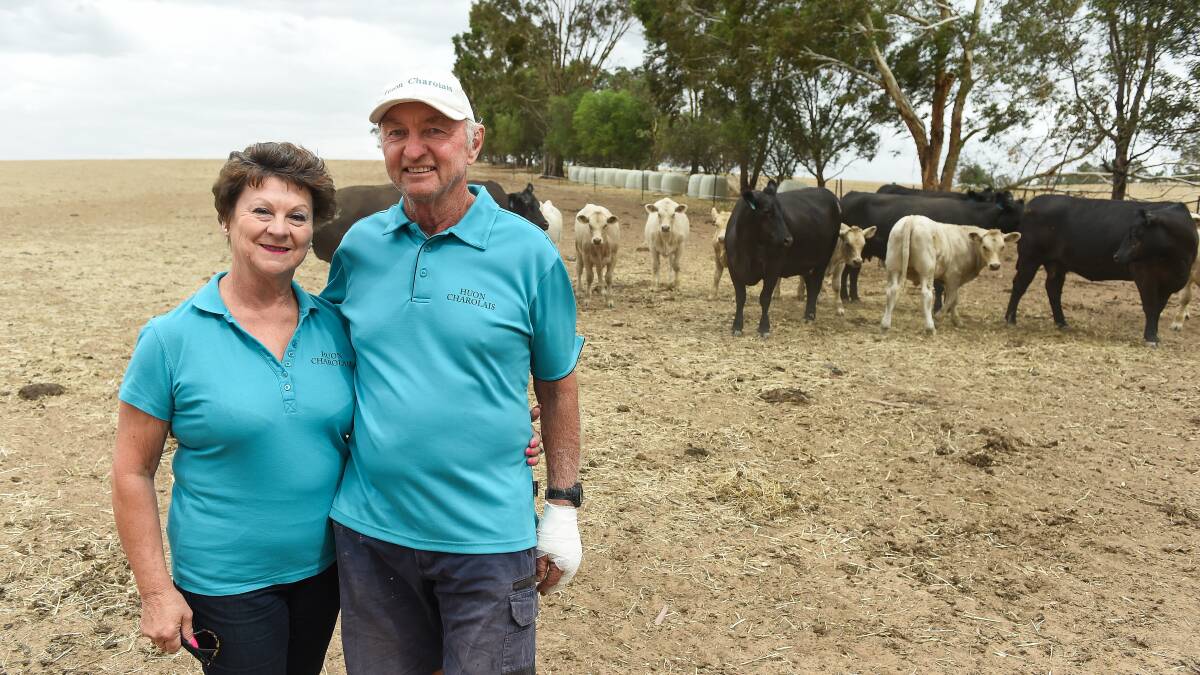 WINNERS ARE GRINNERS: Judy and David Gray with some of their Angus cows and crossbred calves. Picture: MARK JESSER