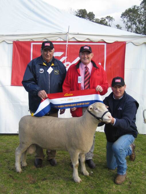 FIRST PRIZE: Rob Martin (far right) pictured with one of his award winning Poll Dorset rams.
