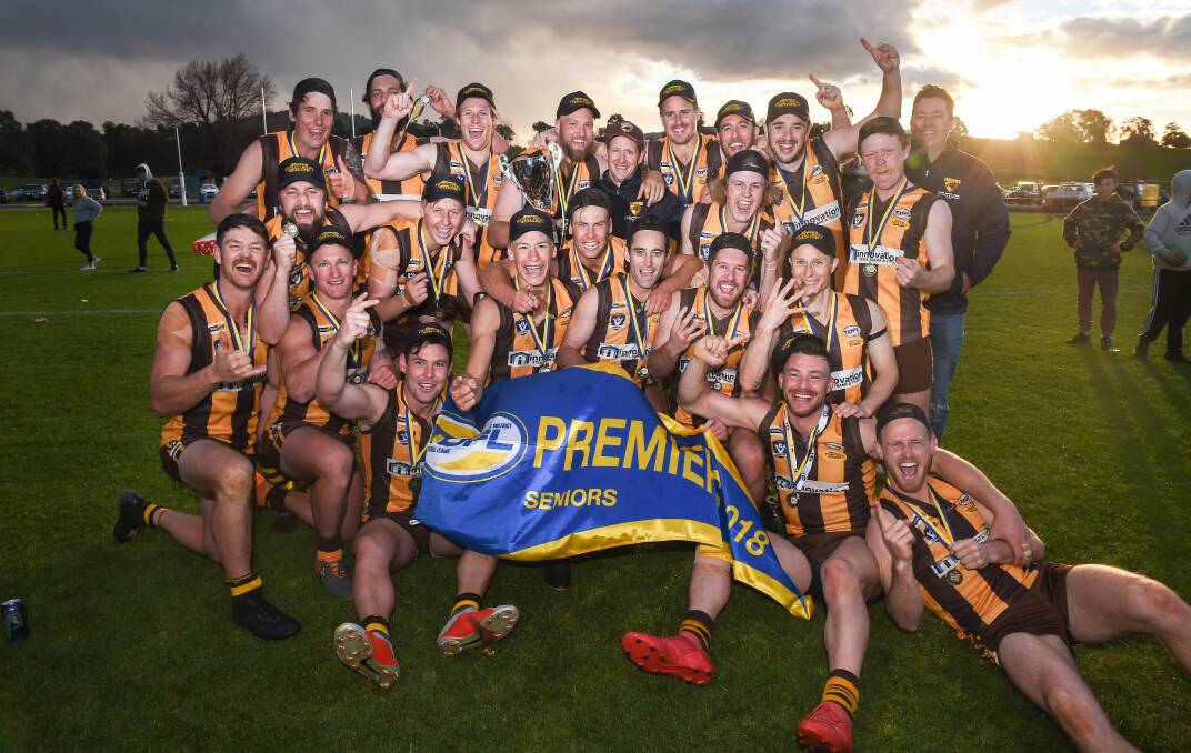 PREMIERS: History says back-to-back flags are hard to achieve but in a scary proposition for rival clubs, the Hawks have improved their list over the summer.