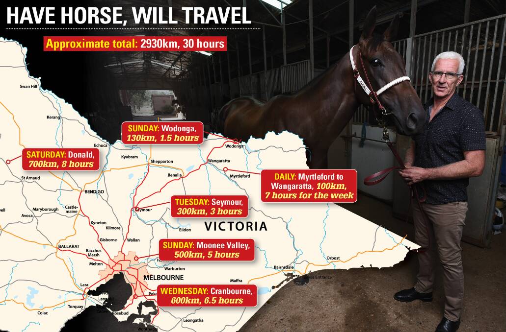 FREQUENT DRIVER: Trainer Andrew Dale will have clocked up almost 3000km in travel for the week after tomorrow.