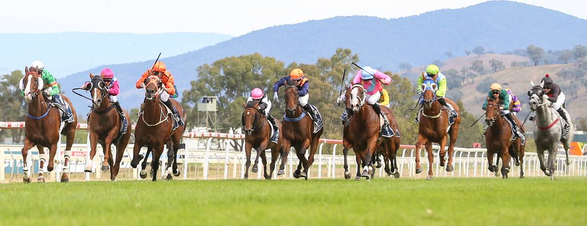 TRACK BIAS: On pace runners dominated the meeting on Albury Gold Cup day with the track rated a Good 3 for the majority of the meeting.