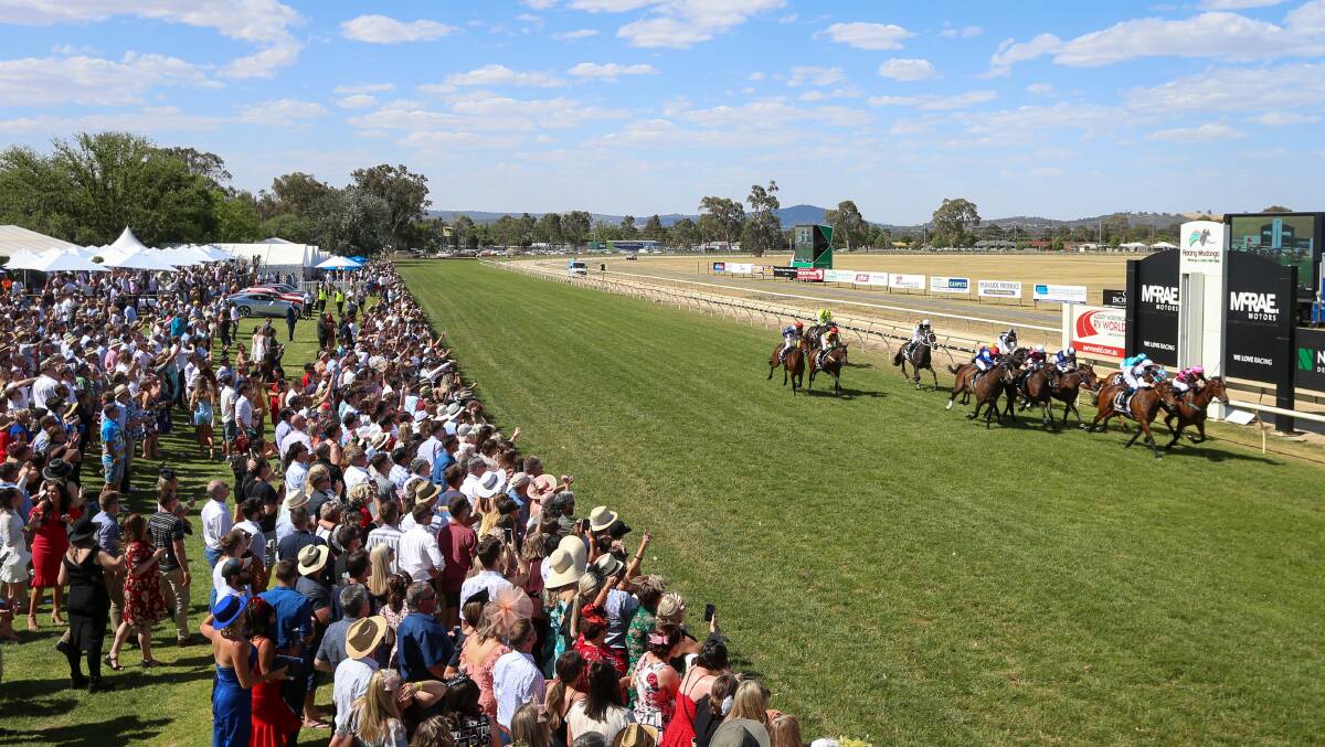 PACKED: A record crowd of 9500 racegoers attended last year's Wodonga Gold Cup meeting.