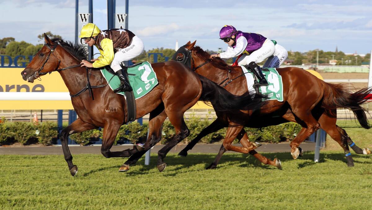 The Craig Widdison-trained Oh No Mikki winning at Wagga in April with Nick Souquet aboard. Picture by Daily Advertiser