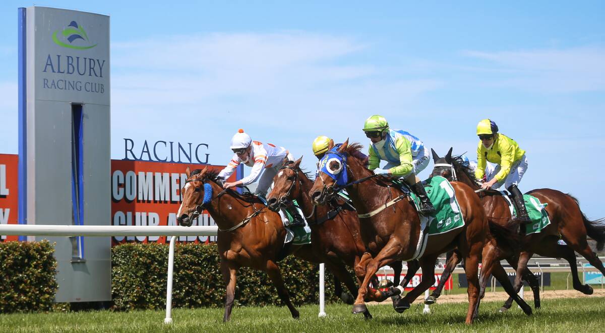 IMPRESSIVE: The Geoff Duryea-trained Albert The Cat won the opening race on the card at Albury with jockey Jordan Mallyon aboard. Picture: JAMES WILTSHIRE