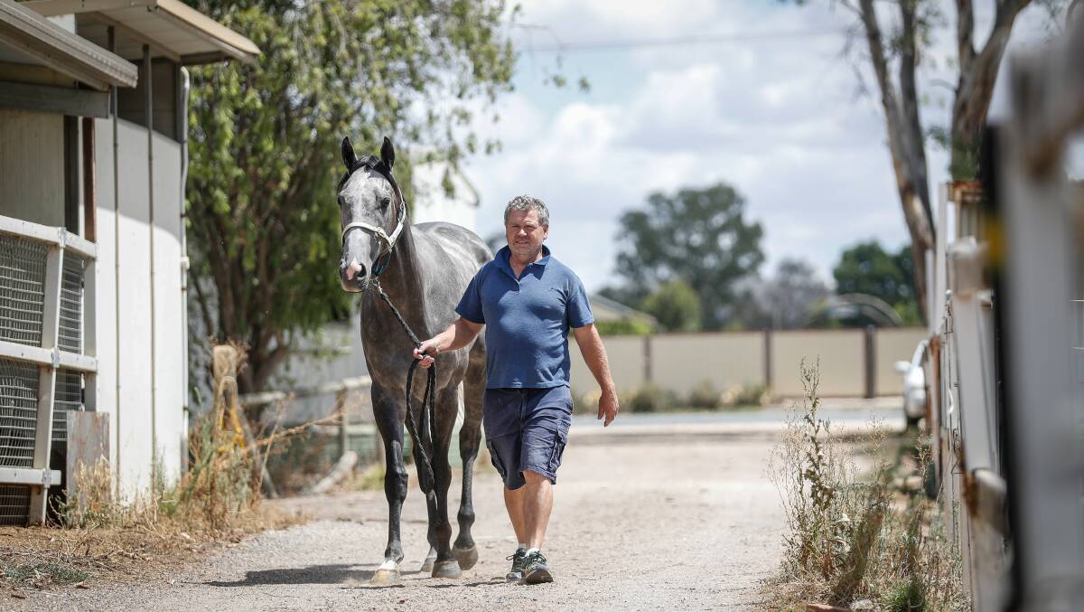 Trainer Norm Loy with his grey galloper Waiting For A Mate.