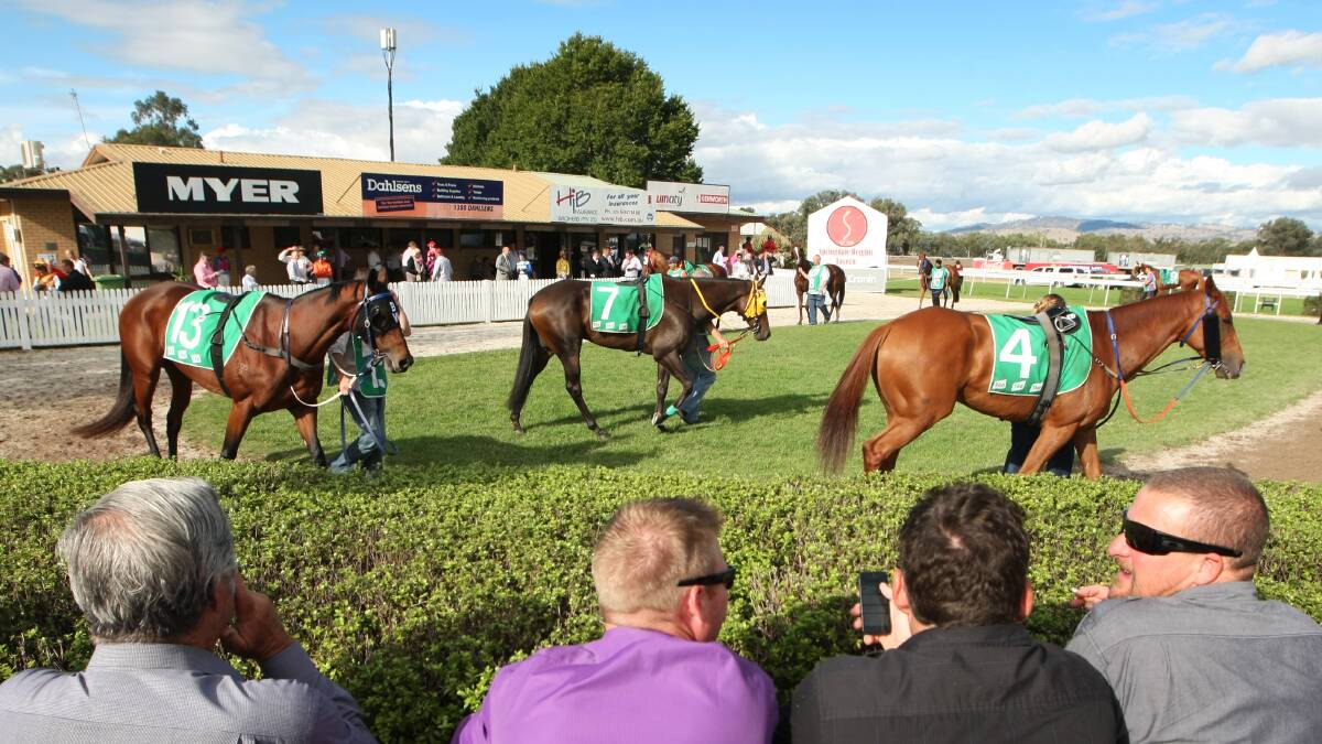 CHRISTMAS SPIRIT: The Albury Racing Club will hold the first of its festive meetings on Saturday with a crowd of 800 people expected this week.