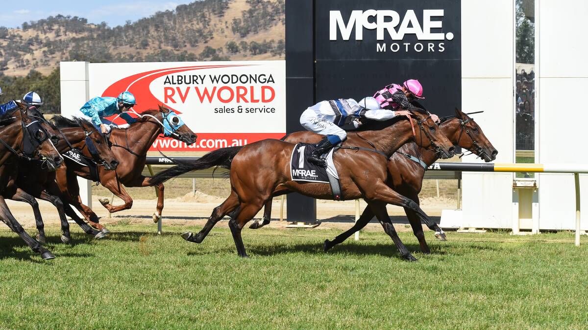 CLOSE CALL: The Ron Stubbs-trained Spunlago was narrowly edged out by the Craig Widdison-trained Willi Willi in last year's jWodonga Gold Cup.