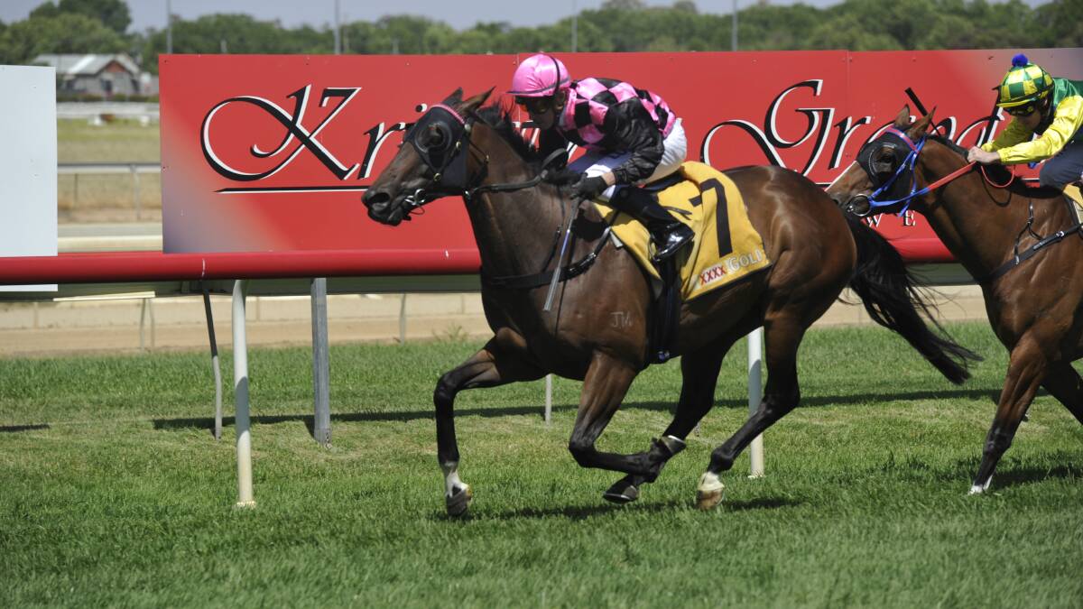 WINNING BREAK: The Craig Widdison-trained Wyangle surges clear in the Ted Ryder Cup prelude at Wagga yesterday. Picture: MATT MALONE