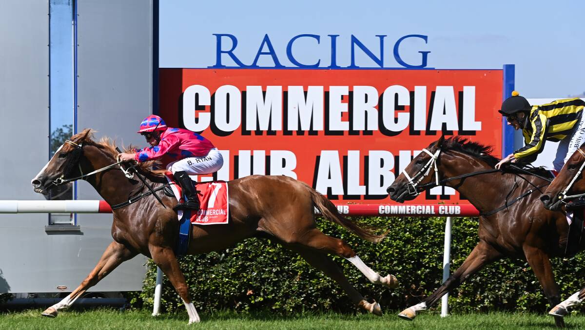 IMPRESSIVE: The Marc Connors-trained Starstruck Barbie winning the Albury Guineas. Picture: MARK JESSER