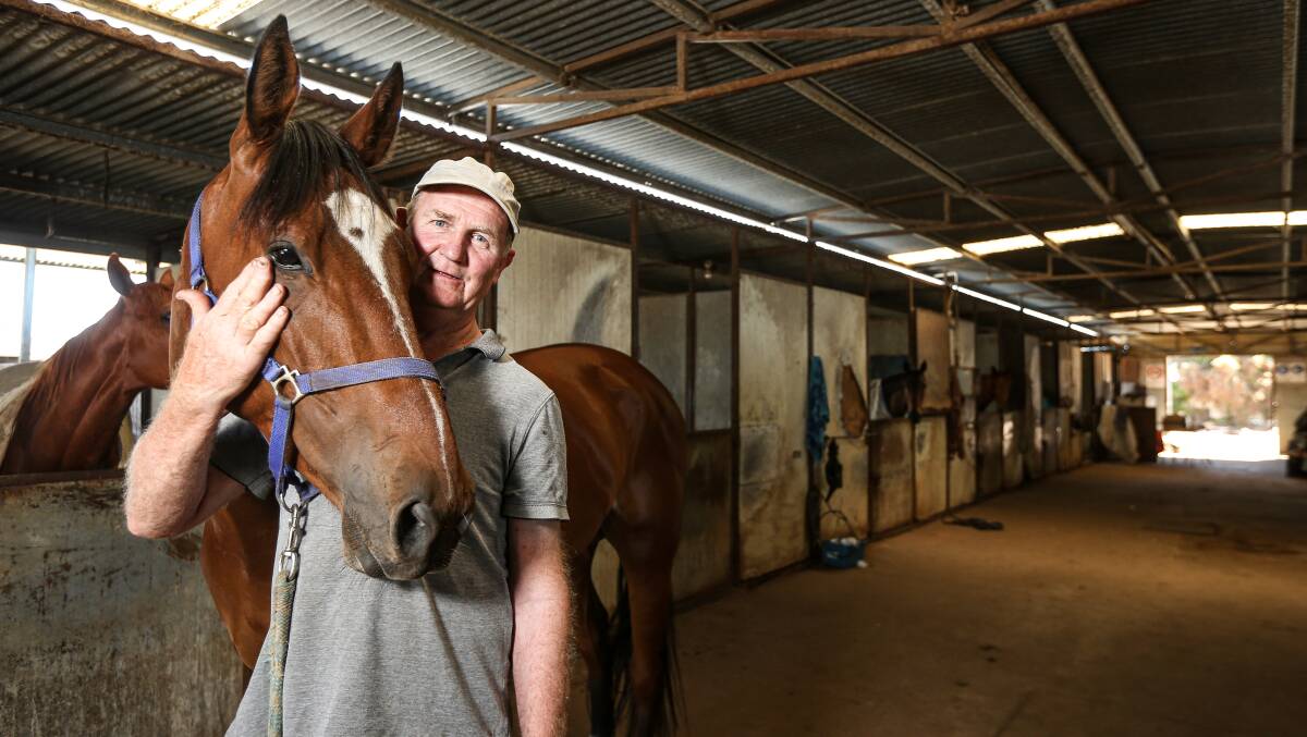 CITY BOUND: Trainer Peter Maher has set his sights on a city success with Spanish Poet at Moonee Valley tomorrow night.