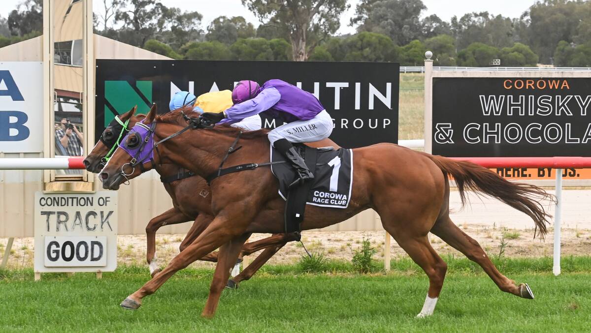 The Gary Colvin-trained Persian Dancer just holds off a late dive by the Garry Worsnop-trained Just Like Liam to prevail in a thrilling finish at Corowa on Tuesday. Picture by Mark Jesser