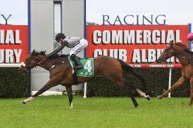 The Ben Brisbourne-trained Mischinka benefitted from a patient ride from apprentice jockey Alysha Warren when taking out the $27,000 Benchmark 58 Handicap, (1600m) at Albury on Tuesday. Picture by Mark Jesser