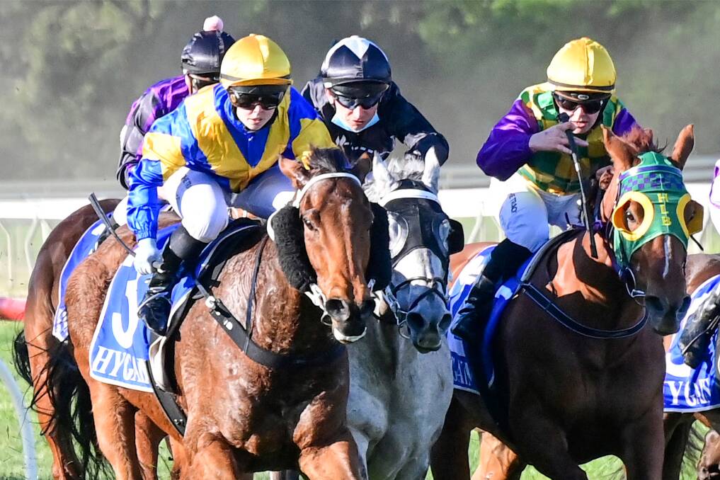 TIGHT: The Andrew Dale-trained Chairman's Choice (grey) attempts to burst through between runners. Picture: RACING PHOTOS