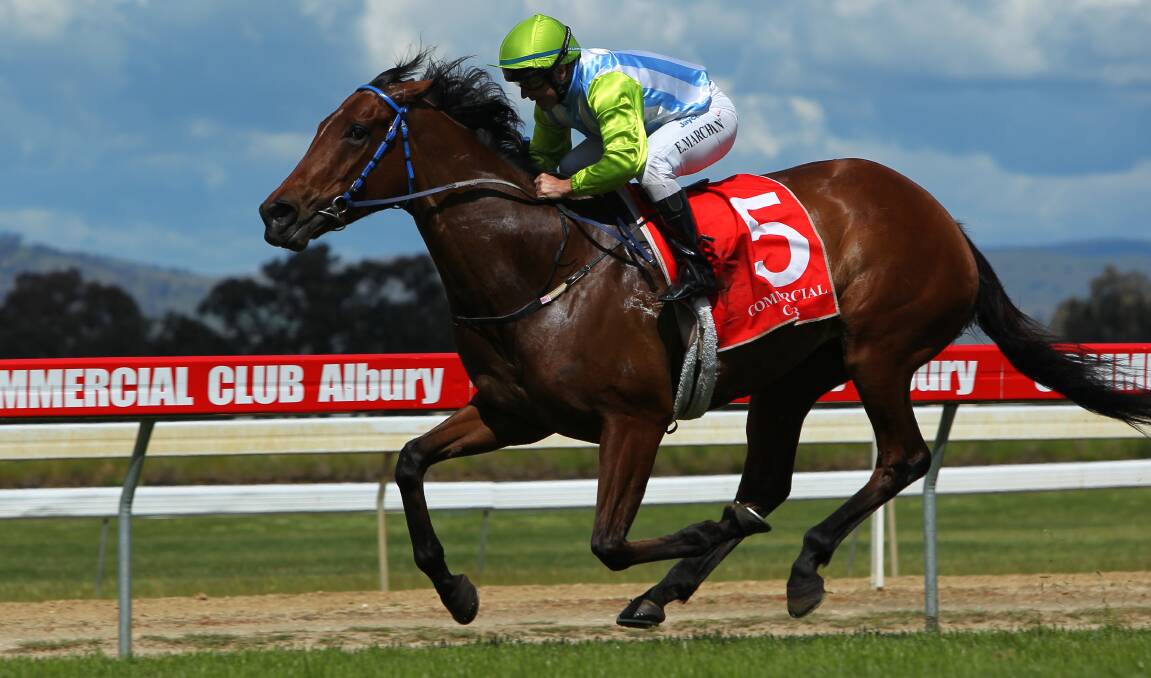 ALL CLASS: The Geoff Duryea trained Stacey Lee winning at Albury in 2012. The mare who has retired to the breeding barn, looks to have produced a handy filly in News Girl.