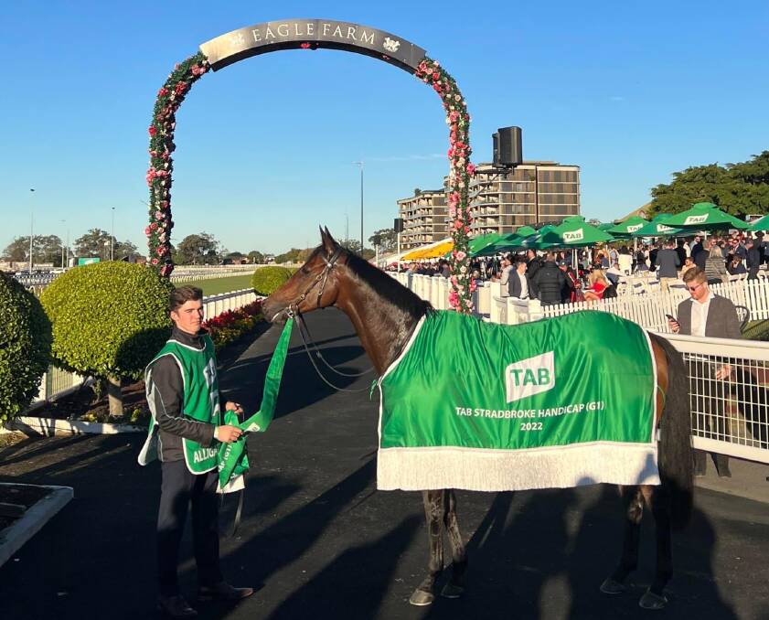 GROUP ONE GLORY: Alligator Blood is set to target a third Group One victory in the spring and contest the Cox Plate at Moonee Valley in October.