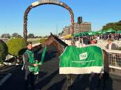 GROUP ONE GLORY: Alligator Blood is set to target a third Group One victory in the spring and contest the Cox Plate at Moonee Valley in October.