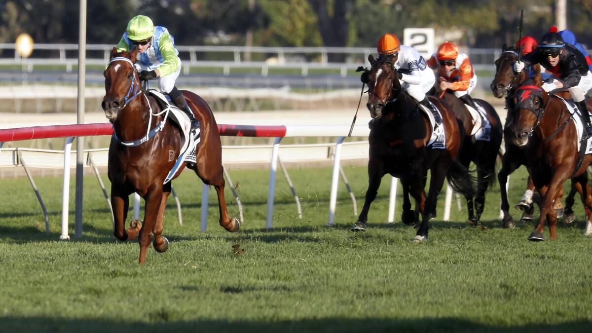 OFF AND GONE: Tyler Schiller lets Front Page loose as they race away to win the $200,000 Wagga Town Plate (1200m) at Murrumbidgee Turf Club on Thursday. Picture: DAILY ADVERTISER