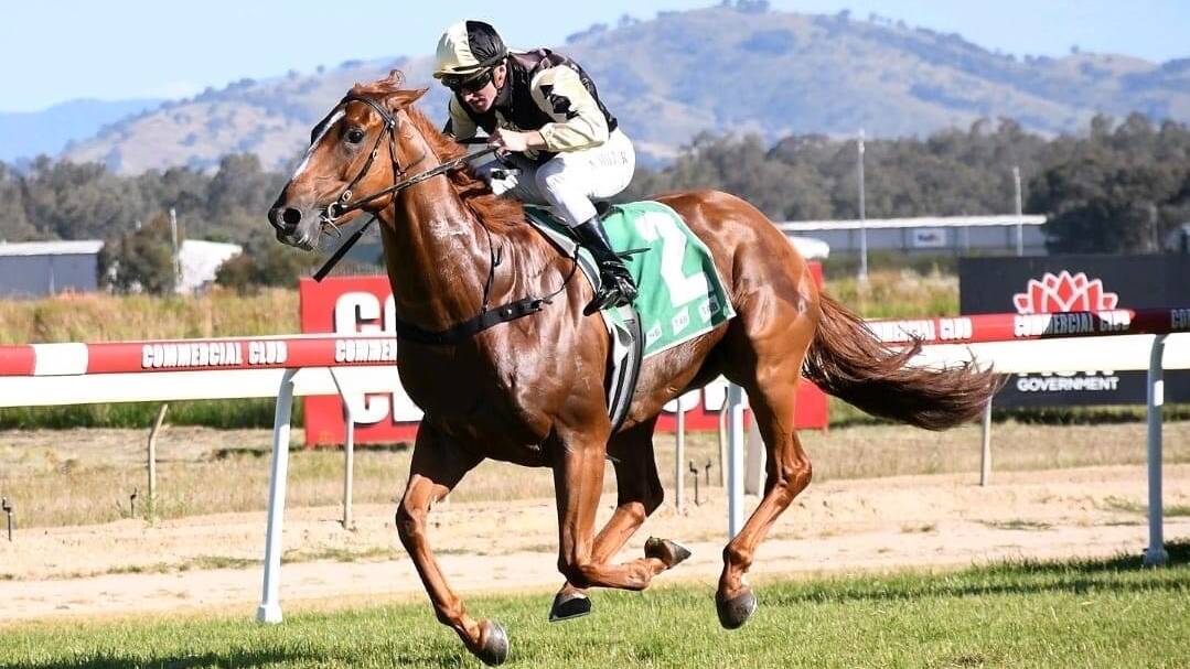 Jockey Simon Miller winning aboard the Donna Scott-trained Snap Chat which was the third leg of a treble for the stable. Stablemates Clever Art and Lensman were also winners at the Albury meeting over the weekend. Picture by Hazel Park Racing