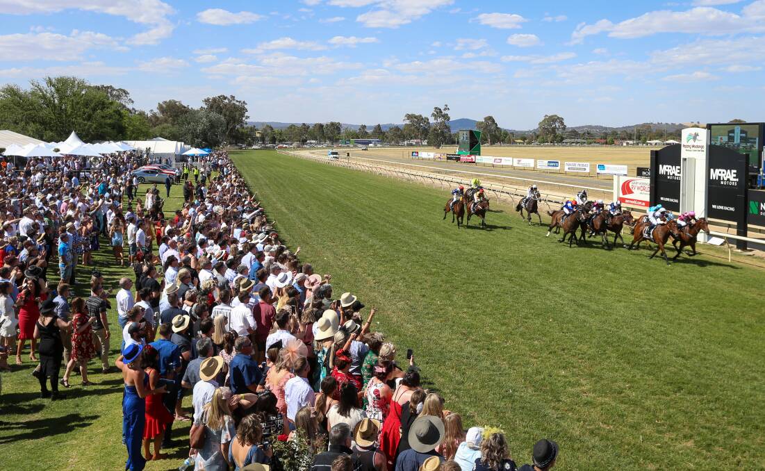 CUP EMPTY: No crowd will be allowed to attend next Friday's Wodonga Gold Cup meeting after the club attracted 9500 racegoers to its premier meeting last year.