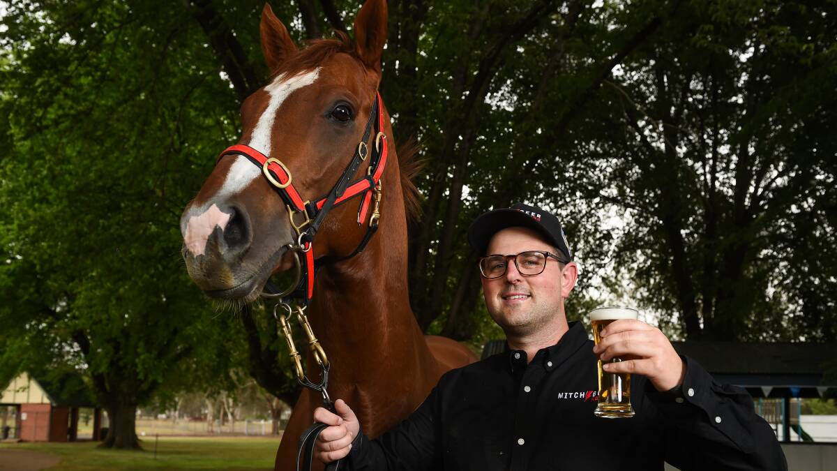 LEADING FANCY: The Mitch Beer-trained Jawwaal is considered a $2.30 chance to make it back-to-back wins at Wagga on Thursday.