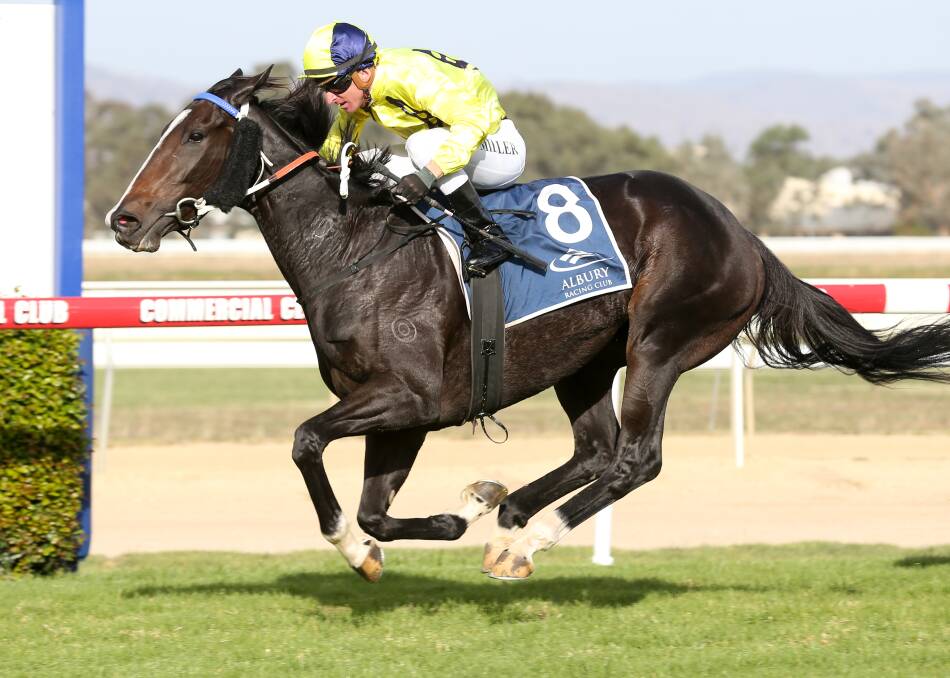 CLASSY: The Wayne Carroll-trained Lady Mironton took out the feature race at Albury on Thursday with Simon Miller aboard. The mare started as the $3.50-favourite. Picture: KYLIE ESLER