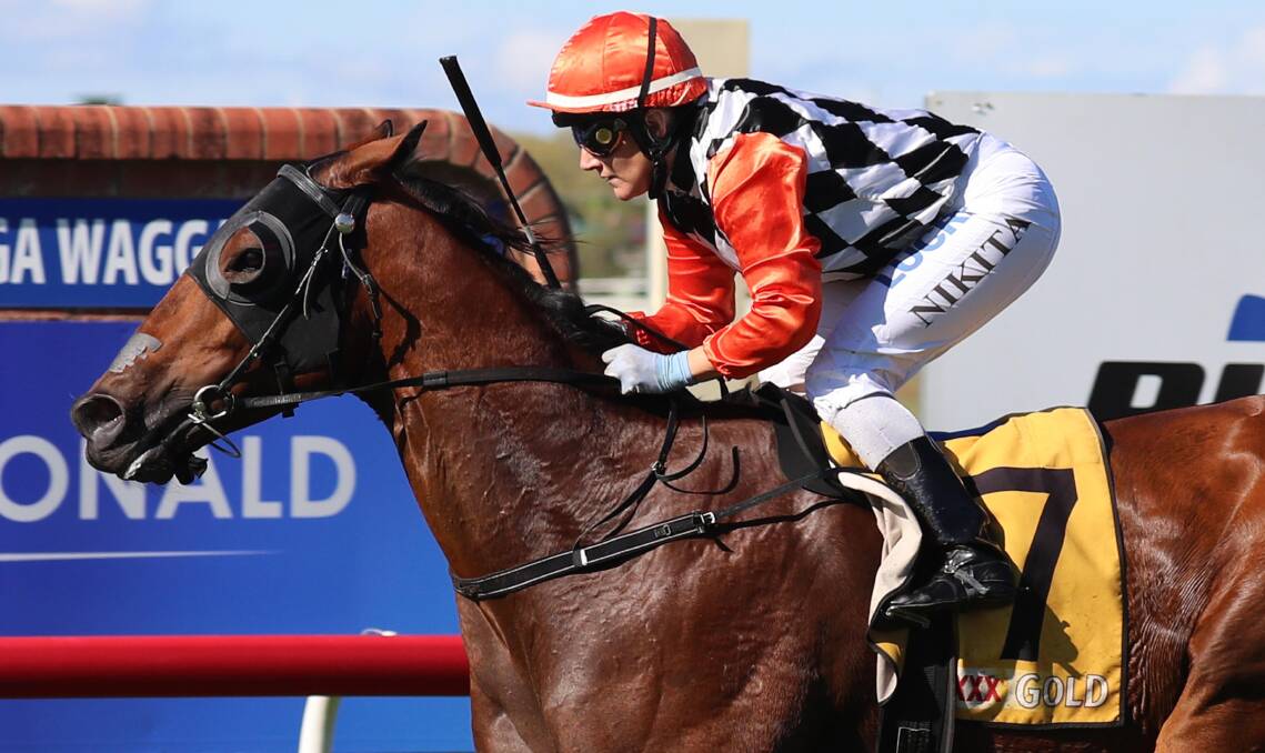 BIG WIN: The Rob Wellington-trained Nevada Dane scored on of his biggest career wins over the Wagga Gold Cup carnival last year. Picture: DAILY ADVERTISER