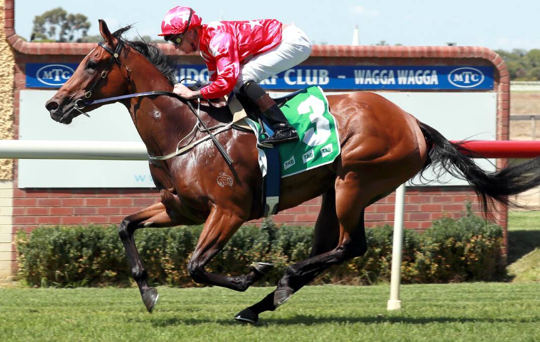 IMPRESSIVE: Blaike McDougall steers favourite Lady Brook to victory in the SDRA Country Championships Preview at Wagga on Thursday. Picture: DAILY ADVERTISER