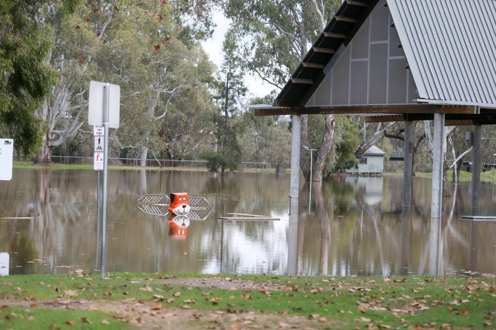 WET: Yogi Bear at Wangaratta's Apex Park is a talking point when there's flood activity. 