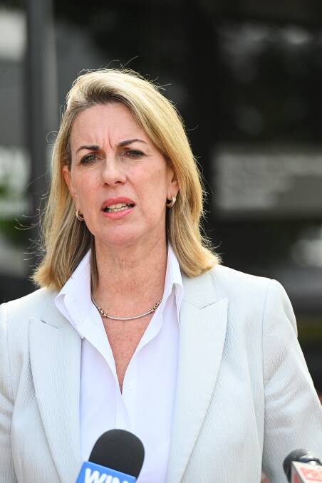 CONCERNED: Victorian opposition health spokesperson Georgie Crozier was in Wodonga on Tuesday calling for a need for better health infrastructure. Picture: MARK JESSER