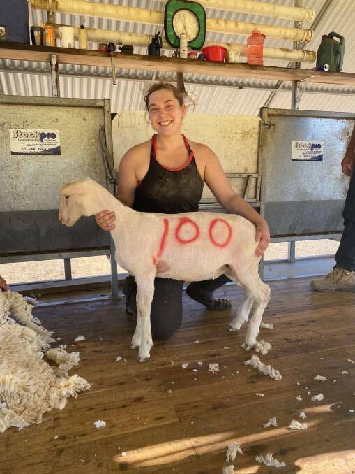 MILESTONE: Jacinta Beetson was shearing 100 sheep a day after just three weeks. 