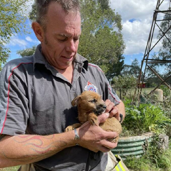 An eight-week-old puppy was pulled to safety by a Wangaratta Fire and Rescue crew member after being stuck in a well at Beechworth on Sunday, April 2. Picture by Beechworth CFA