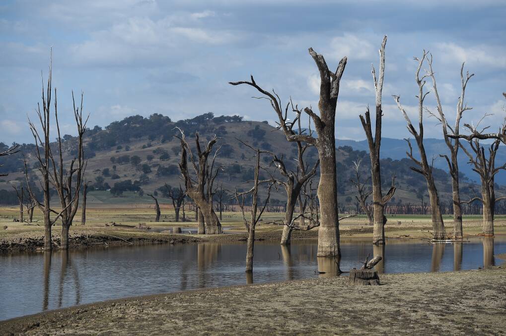 Lake Hume dipped below 20 per cent capacity in April 2019 and Australian Conservation Foundation predicts more severe droughts if emissions remain the same. File picture