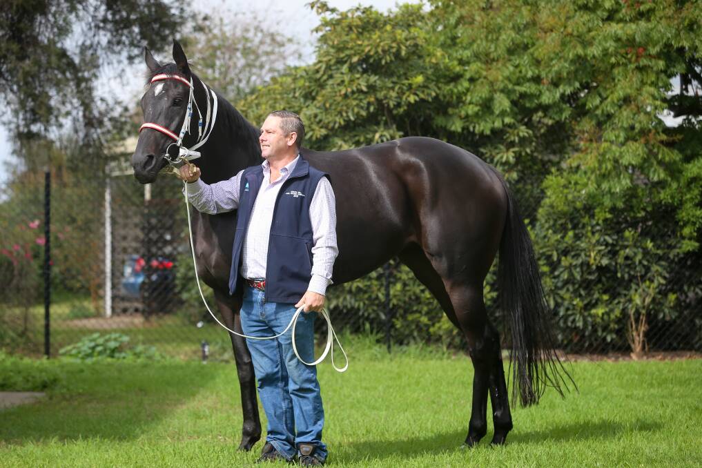 SHE'S STELLAR: Wangaratta trainer Chris Davis with stable star Just Stellar who broke a mammoth 567-day drought since its last win on Thursday. Picture: JAMES WILTSHIRE