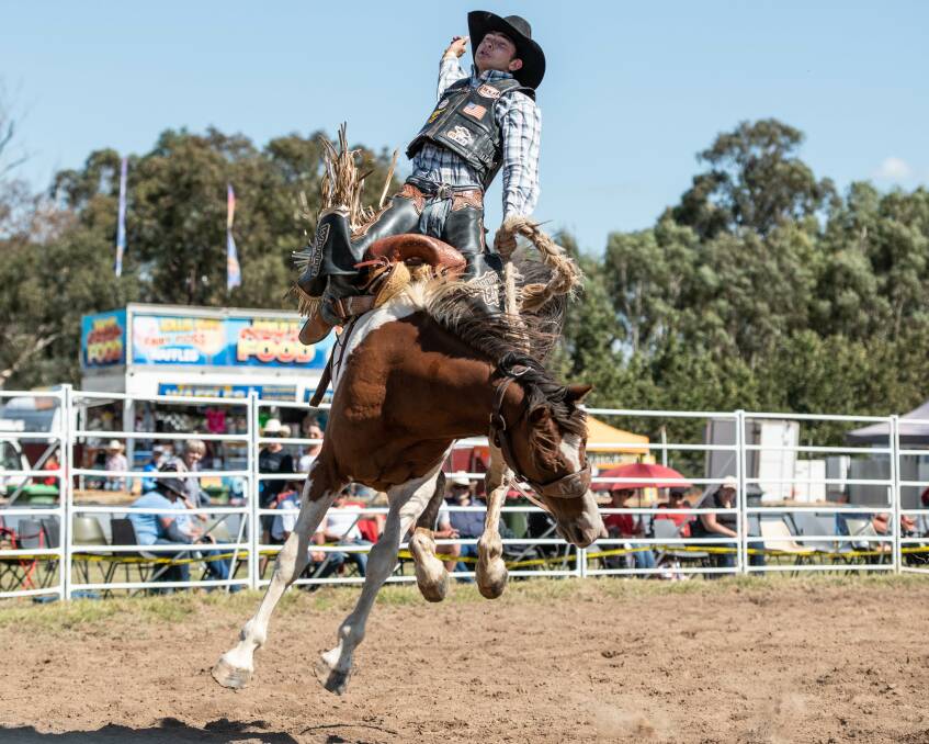 IN CONTROL: Echuca's Dean Oliver showed some terrific poise and balance to stay on his saddle at the Chiltern Pro Rodeo on Sunday. Record entries were received. Picture: KERRY MCFARLANE