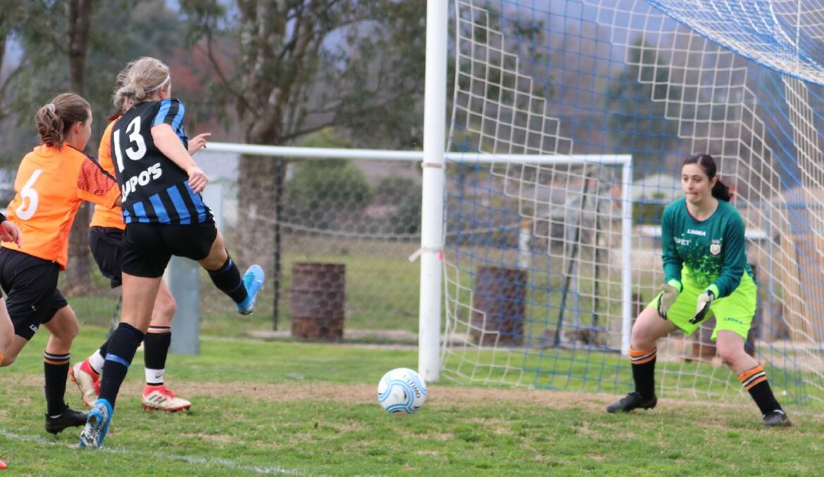 WELL PLAYED: Wodonga Heart's reserve women's goalkeeper Laura Fota took out the top award for her side in Saturday night's vote count.