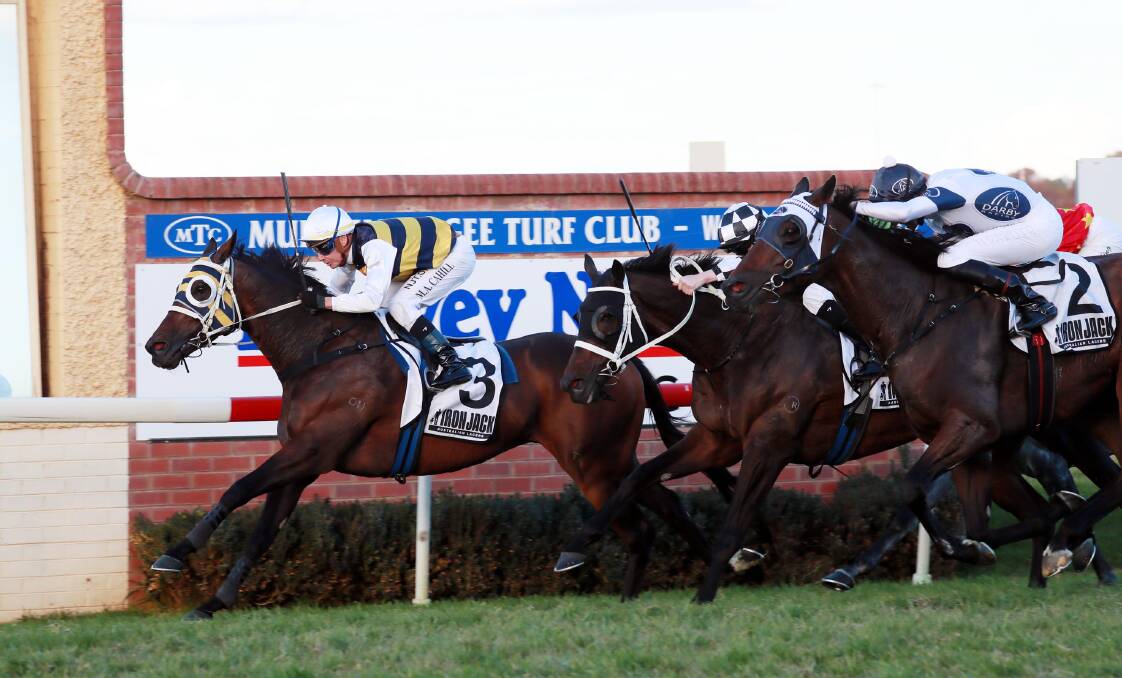 SURVIVED: Inverloch, with Mathew Cahill in the saddle, holds off the chasing
pack to win the $200,000 Wagga Gold Cup (2000m) on Friday. Picture: LES SMITH