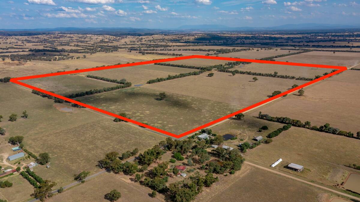 This 124-hectare parcel of farming land, with frontage to the Springhurst-Rutherglen Road, near the Hume Freeway, is one of three placed on the market by a North East family. Picture by Elders Real Estate Wangaratta