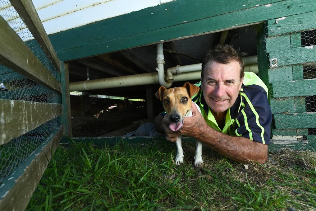 HOUND FOUND: Allan Hamilton with Lil, the family's Jack Russell, which spend almost two days trapped underneath the Chiltern Bowling Club in a rabbit burrow. Picture: MARK JESSER