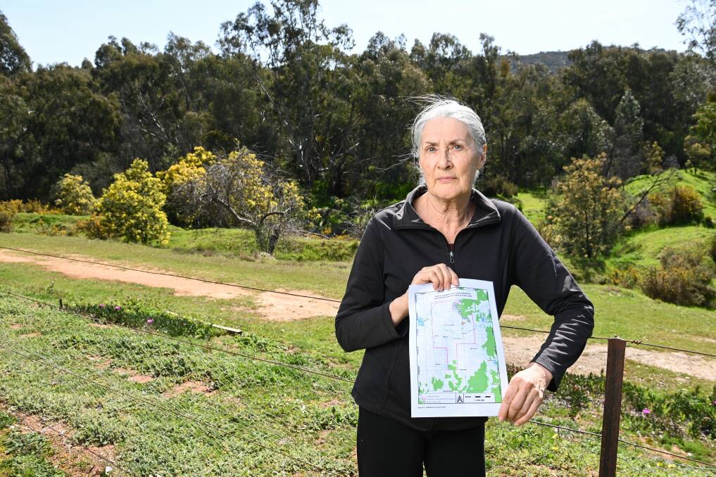 NOT IMPRESSED: Eldorado resident and tourism leader Sue Phillips is worried an application from a mining company to commence exploration will impact the amount of visitors to the town if approved. Picture: MARK JESSER