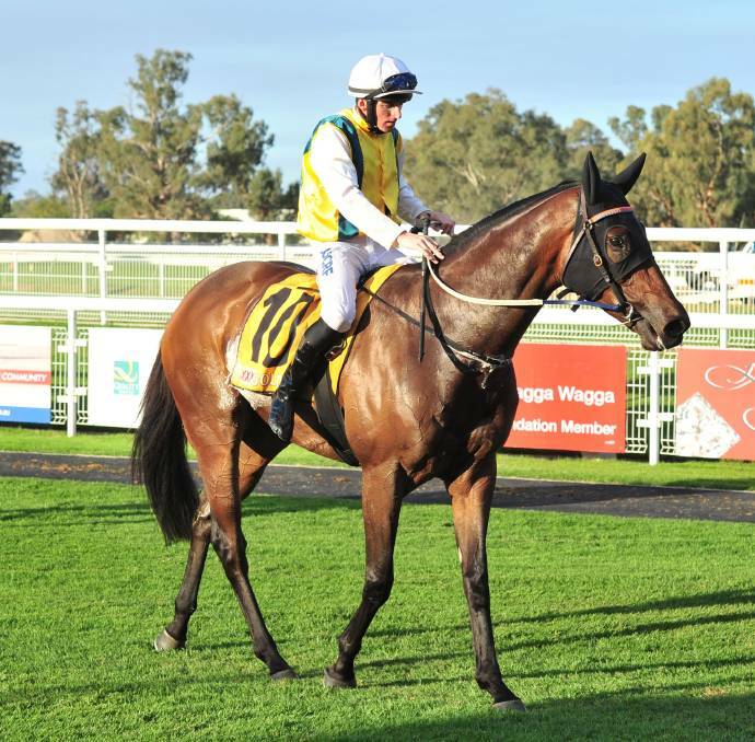 EARLY DAYS: Simon Miller returns son Man Of Peace after a win at Wagga earlier in his career. The veteran gelding has a strong Albury following.