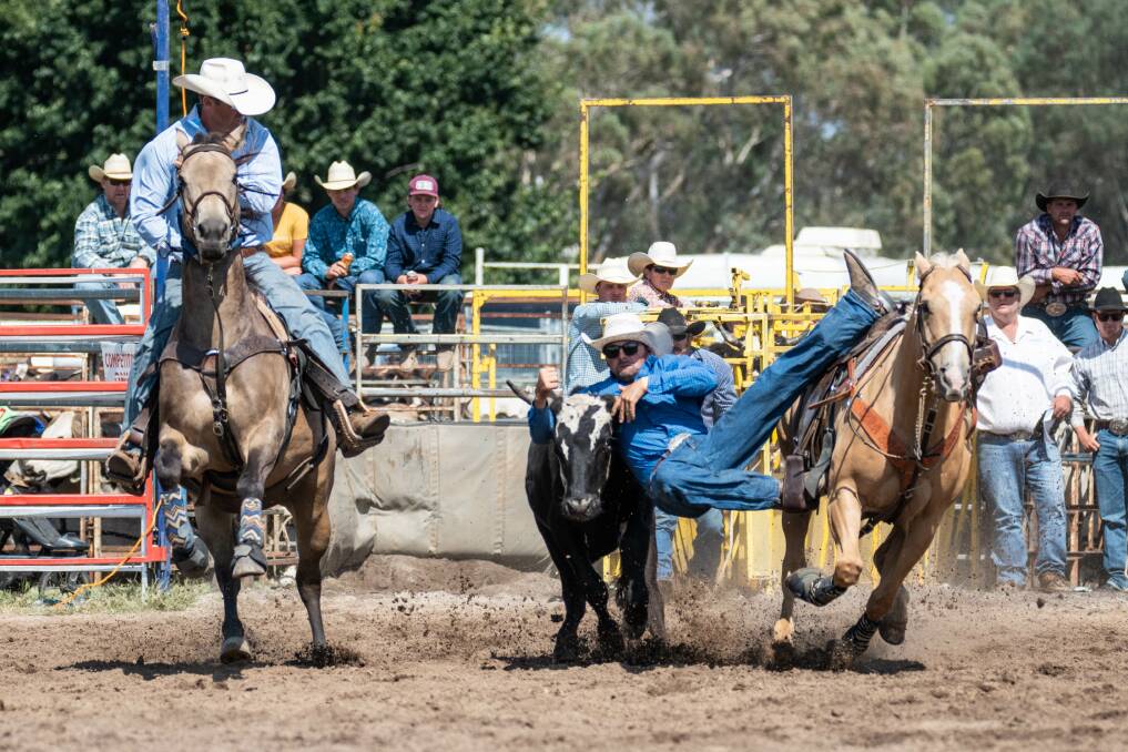 HOLD ON TIGHT: Luke Hamilton wowed the crowd during the steer wrestling competition at the 2022 Chiltern Pro Rodeo. More than 2000 people attended the event. Picture: KERRY MCFARLANE
