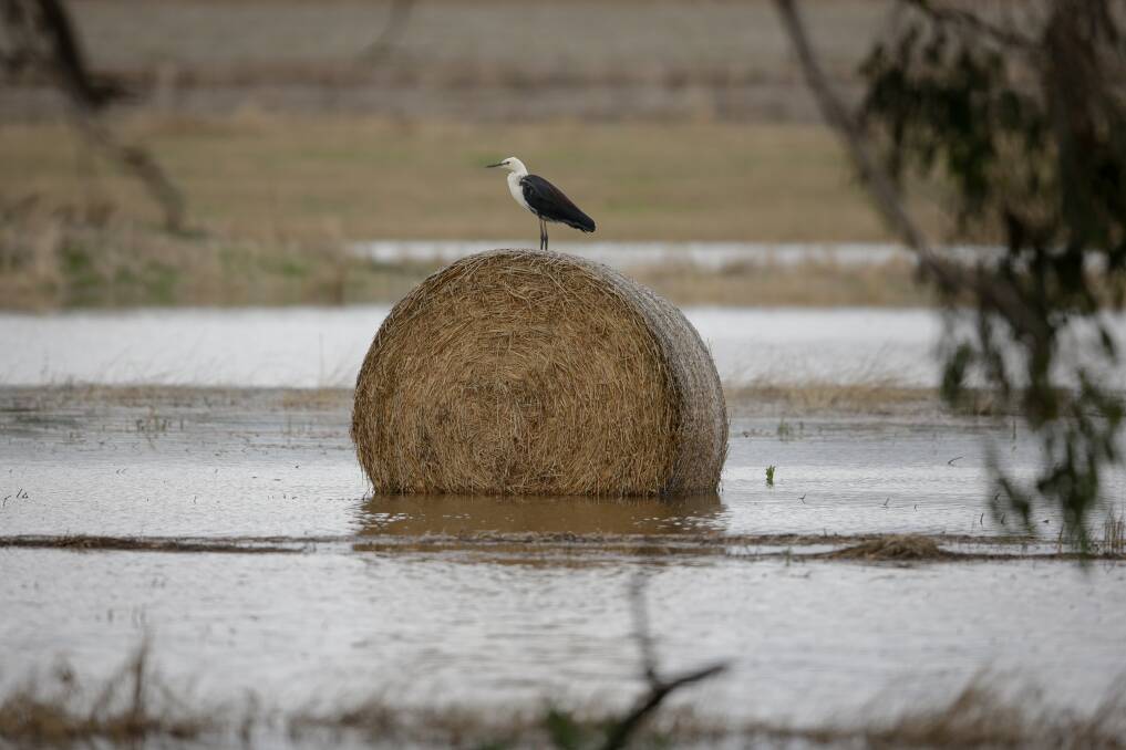 TAKE COVER: Albury-Wodonga experienced a wetter than average summer with a number of heavy downpours from December through to February. Picture: JAMES WILTSHIRE
