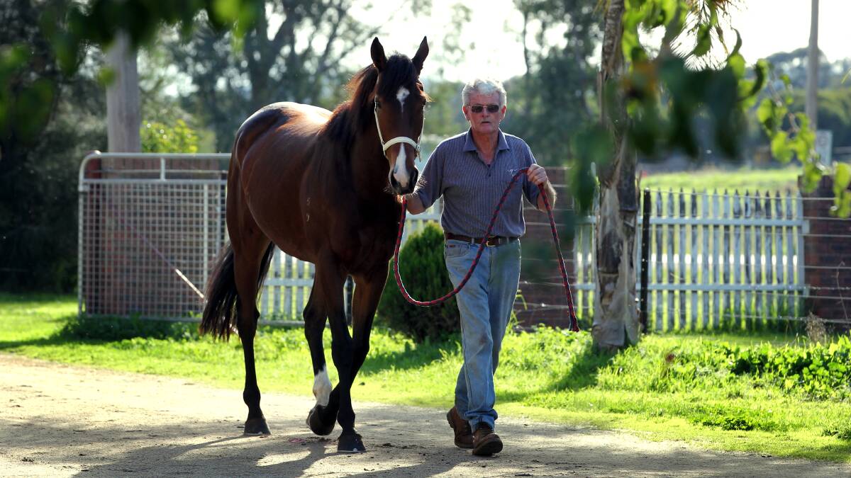 Albury trainer Kevin Hanley will look to continue his winning form with Casino Star at his home track on Thursday.