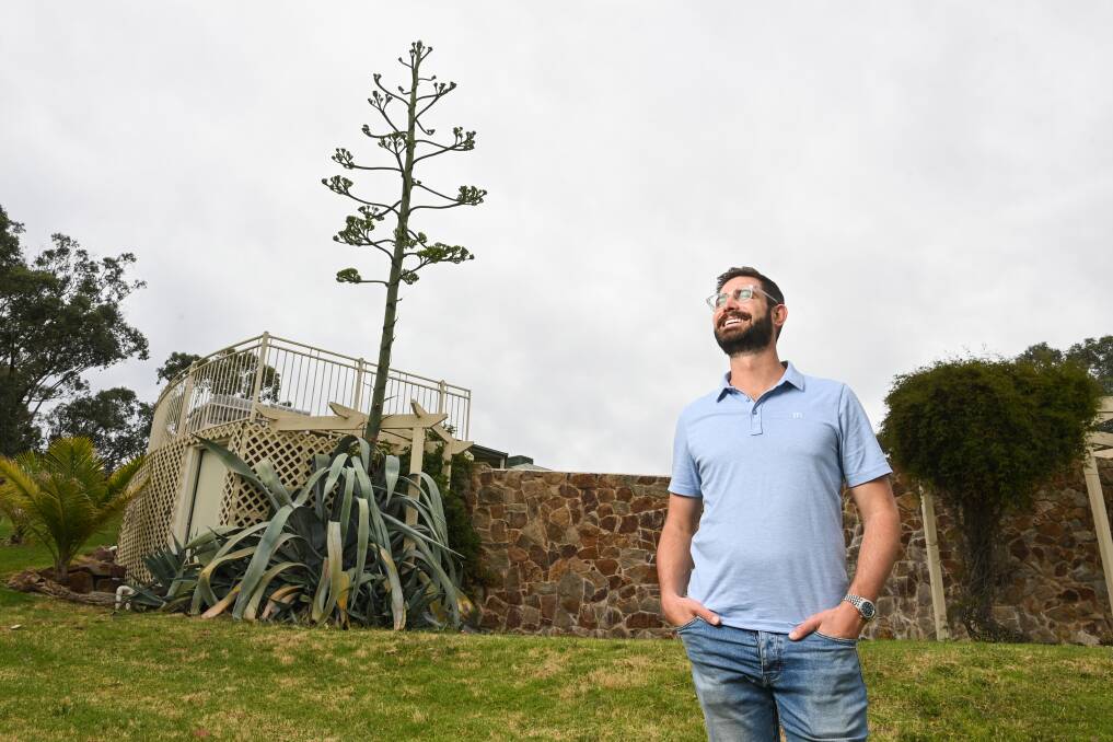 WAY UP HIGH: Chase Gardner admires the Agave Americana plant at the front of his Wodonga home. Picture: MARK JESSER