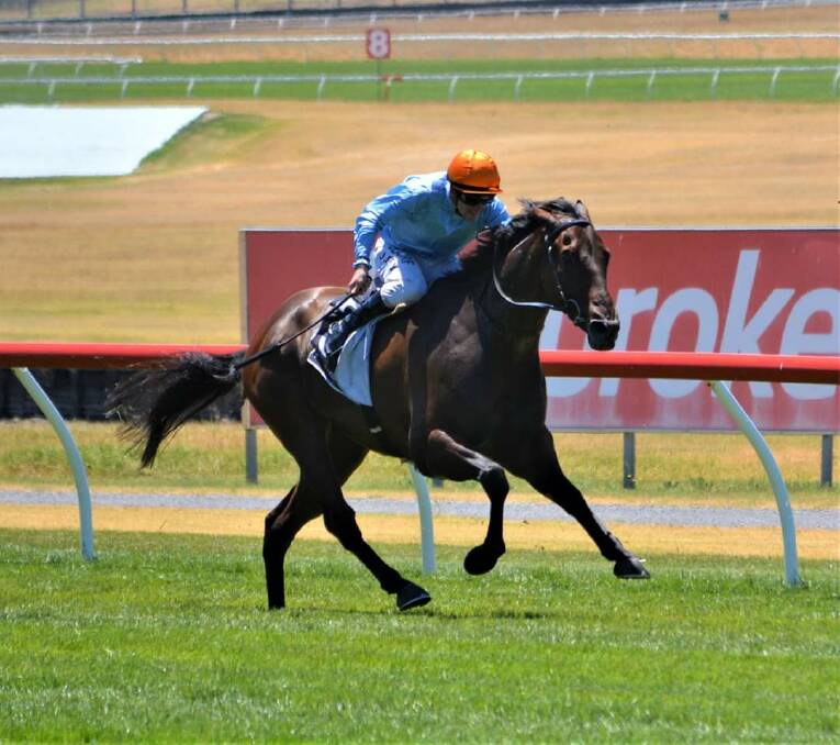 STRONG EFFORT: Wangaratta trainer Libby Haworth was thrilled with the performance of Everywhere Mann who won at Mornington on Monday. Picture: LAURA WHITE 